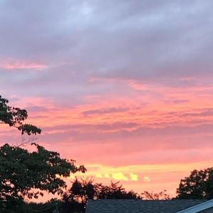 Meet your Posher, Liz